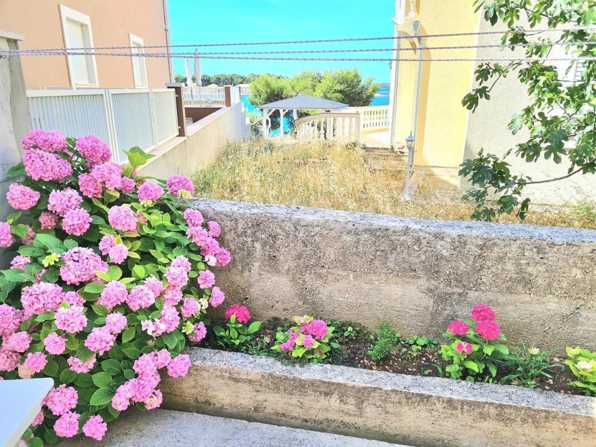 Apartment Ivana بروداريكا المظهر الخارجي الصورة