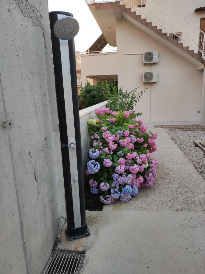 Apartment Ivana بروداريكا المظهر الخارجي الصورة