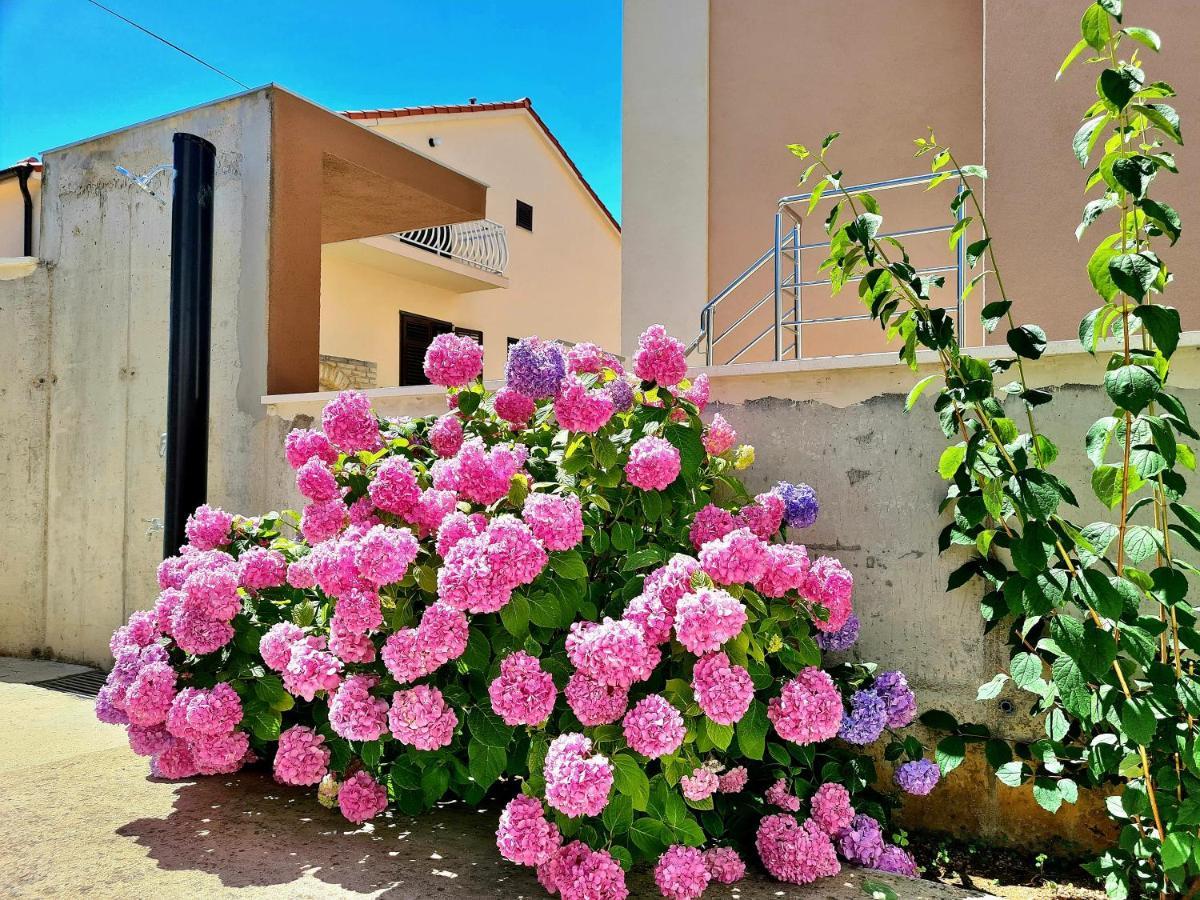 Apartment Ivana بروداريكا المظهر الخارجي الصورة